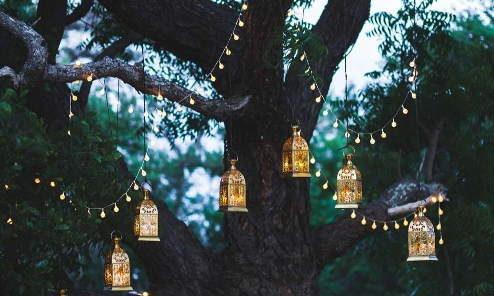 Tree Lamps