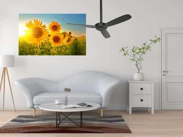 Ceiling Fan in sunflower living room