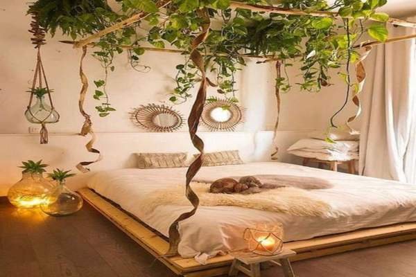 Hanging Plants in White And Gold Bedroom