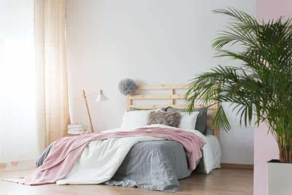 Hanging Plants in White And Silver Bedroom