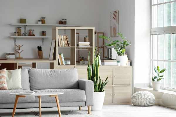 Organize Shelves in Living Room