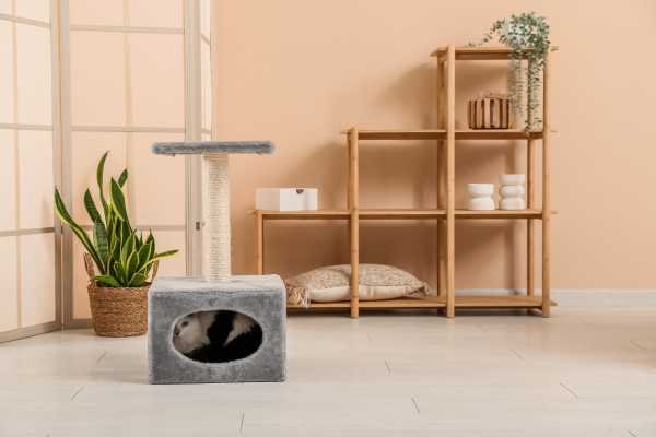 Decorative Baskets and Boxes Cover Open Shelves in Living Room