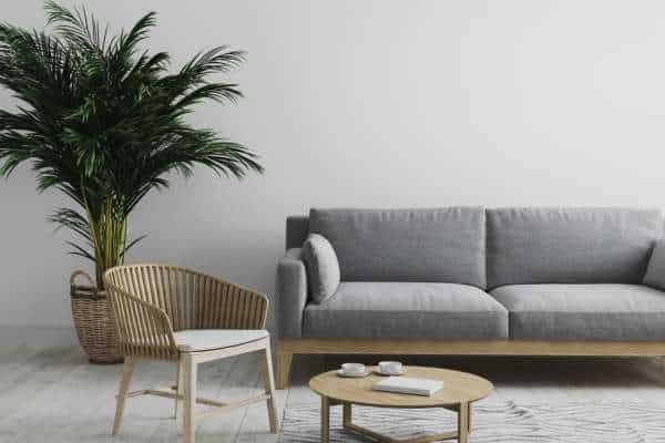 Adding Greenery and Natural Elements for Freshness gray living room