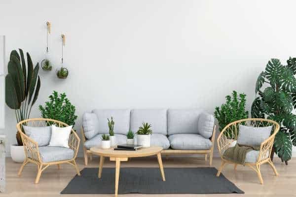 Choosing and Arranging Plants for a Rectangular Living Room