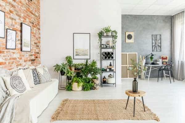 Use Plants And Greenery For A Fresh Look