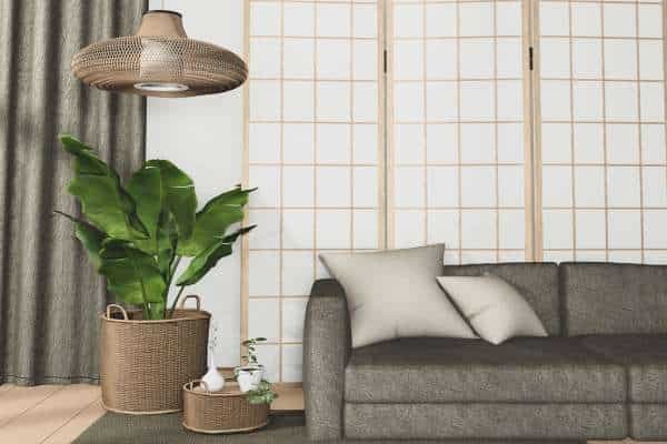 Balancing Plant Placement with Other Furniture