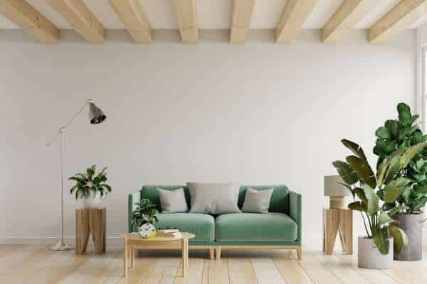 Bring in Plants to Brighten and Soften the Space For Living Room