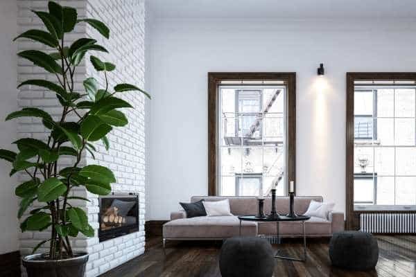 Choosing the Right Plants for Your Living Room