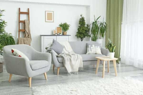 Incorporate Indoor Plants for a Fresh and Green Vibe living room