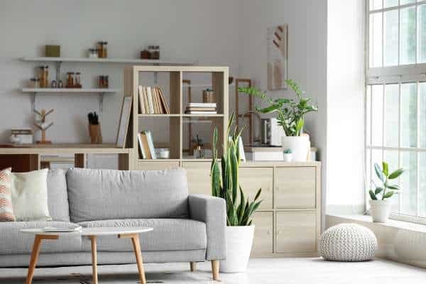 Incorporating Greenery and Natural Elements For How To Style Living Room Shelves