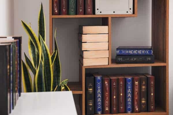 Mixing Books with Decorative Accents