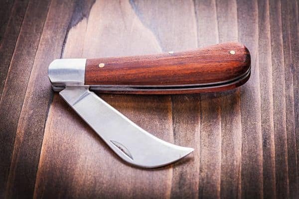 Why Sharpening a Hawkbill Knife Requires Special Attention