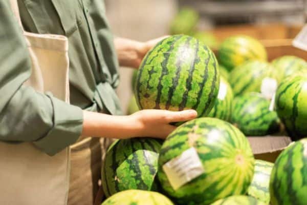 Pick a good watermelon to Make Watermelon Juice with a Blender