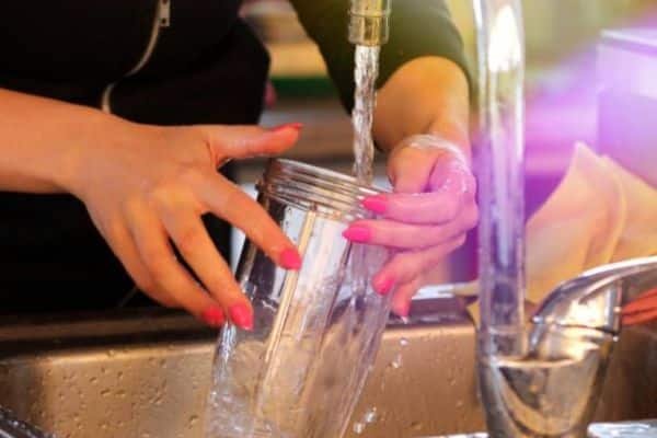 How Long Should a Blender Bottle Last?