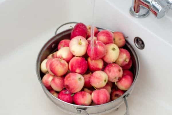 Step 1: Wash and Chop the Apples